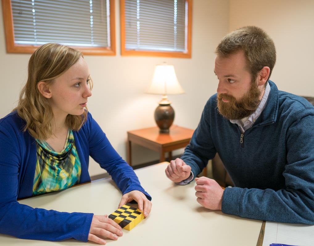 Licensed Mental Health Counselor Credentials Checkboard